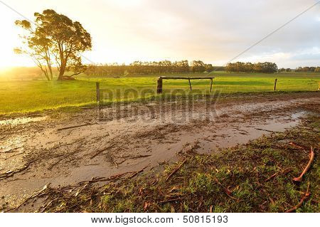 Afternoon After Rain