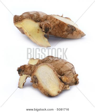 红发人
