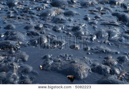 Black Oil Pollution