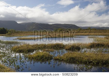 Marsh Land On Gimsoya, Lofoten Islands, Norway, Scandinavia