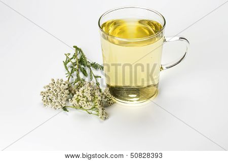 Mug with herbal tea