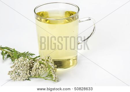 Glass mug with herbal tea