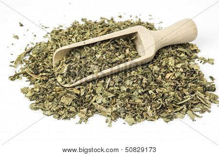 Dried holy thistle
