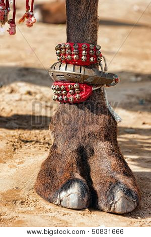 Decorated Camel Foot