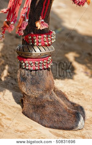 Decorated Camel Foot