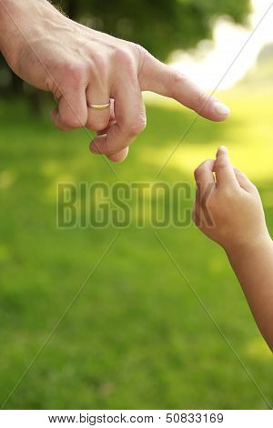 Parent Holds The Hand Of A Small Child