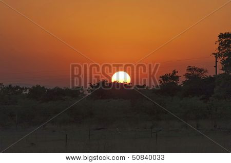 Sunrise in savanna - Kudus Rus game lodge