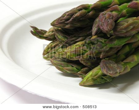 Espargos 3