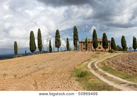 Typical Tuscany Landscape, Italy