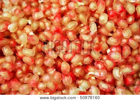 Pomegranate