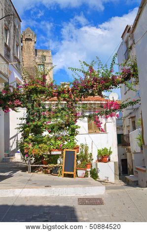 Alleyway. Rodi Garganico. Puglia. Italy.