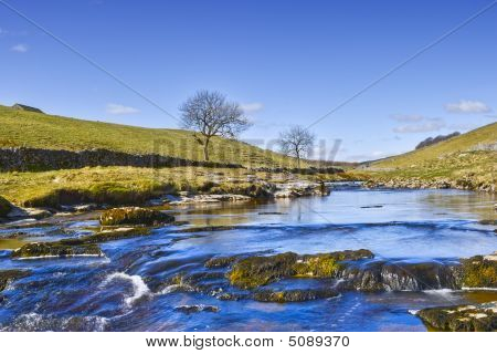 ซีนิคริเวอร์ Wharfe
