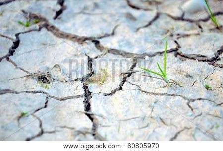 Dry Ground