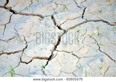 Dry Ground