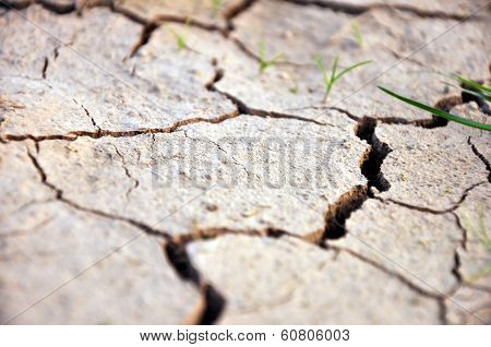 Dry Ground