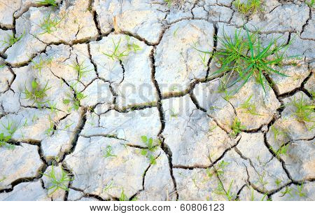 Dry Ground