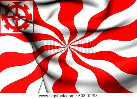 Flag Of Mulhouse