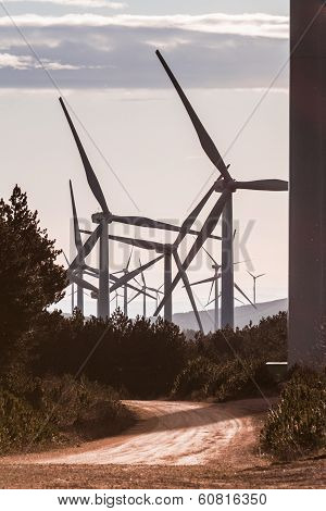 Wind Turbines At Sunrise