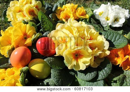 Spring