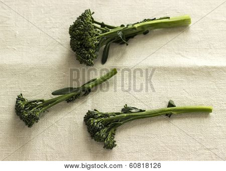 Broccolini on Linen