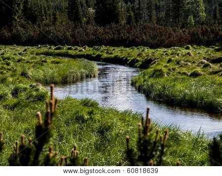Meandering Jizera River In Jizera Mountains (czech Republic)