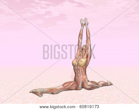 Monkey yoga pose for woman with muscle visible