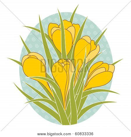 Vector illustration of crocus flower