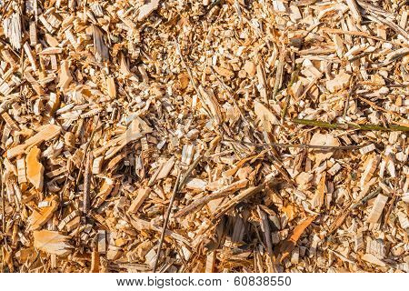 Closeup Of A Heap Of Small Wooden Pices After Shredding Trees
