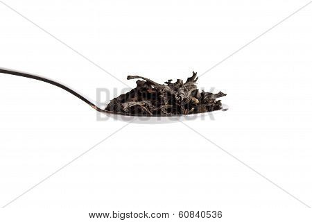 Black Tea
