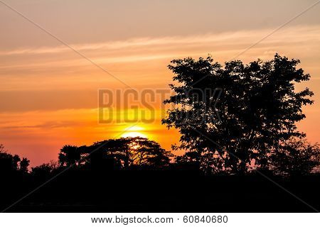 beautiful sunset
