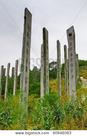 Wisdom Path
