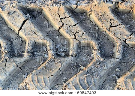 imprint
