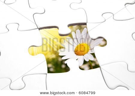 Puzzle et fleur