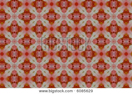 Color textura Ornamental