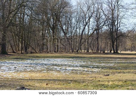 Springtime With Last Snow