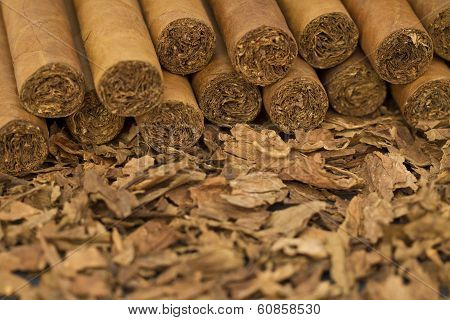 Cigars on Tobacco