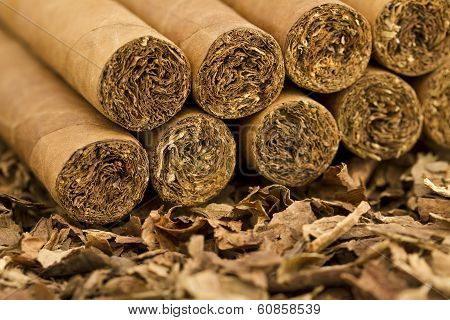 Cigars on Tobacco