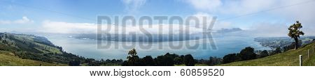 Panoramic Landscape Otago Bay Dunedin
