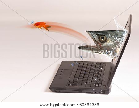 Computer Fishing.