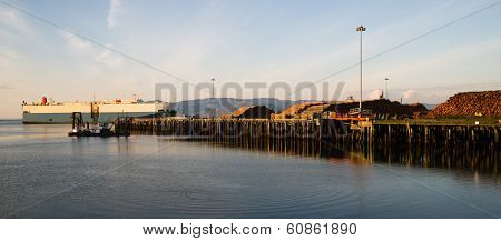 Shipping Lane Columbia River Large Ship Passes Log Pier