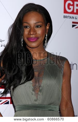 LOS ANGELES - FEB 28:  Amma Assante at the 2014 GREAT British Oscar Reception at The British Residence on February 28, 2014 in Los Angeles, CA