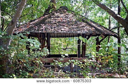 Arbour