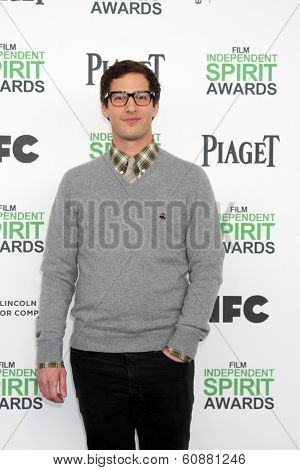 LOS ANGELES - MAR 1:  Andy Samberg at the Film Independent Spirit Awards at Tent on the Beach on March 1, 2014 in Santa Monica, CA