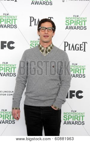LOS ANGELES - MAR 1:  Andy Samberg at the Film Independent Spirit Awards at Tent on the Beach on March 1, 2014 in Santa Monica, CA