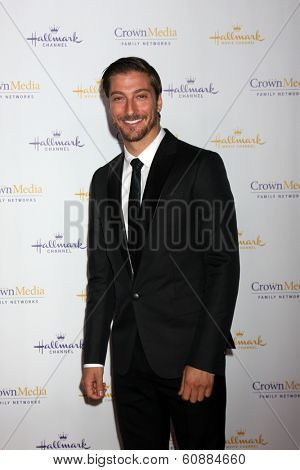 LOS ANGELES - JAN 11: Daniel Lissing at the Hallmark Winter TCA Party at The Huntington Library on January 11, 2014 in San Marino, CA