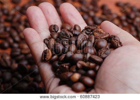 Right Hand Hold The Coffee Bean