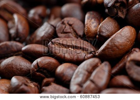 Close Up Coffee Bean