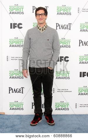 LOS ANGELES - MAR 1:  Andy Samberg at the Film Independent Spirit Awards at Tent on the Beach on March 1, 2014 in Santa Monica, CA