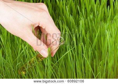 Hand with a test tube and grass. Fertilizer