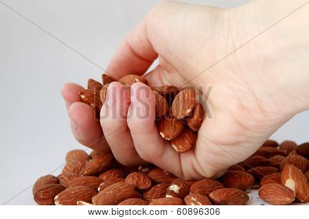 Hand holding a handful of almonds